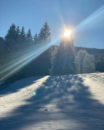 Zum Ochsen 3* Furtwangen