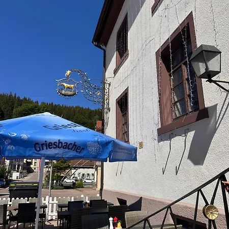 Hotell Zum Ochsen 3*