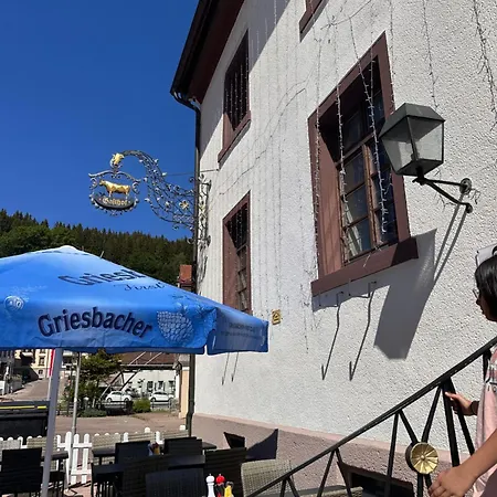 Zum Ochsen 3* Furtwangen