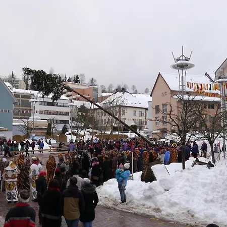 Hotell Zum Ochsen 3*